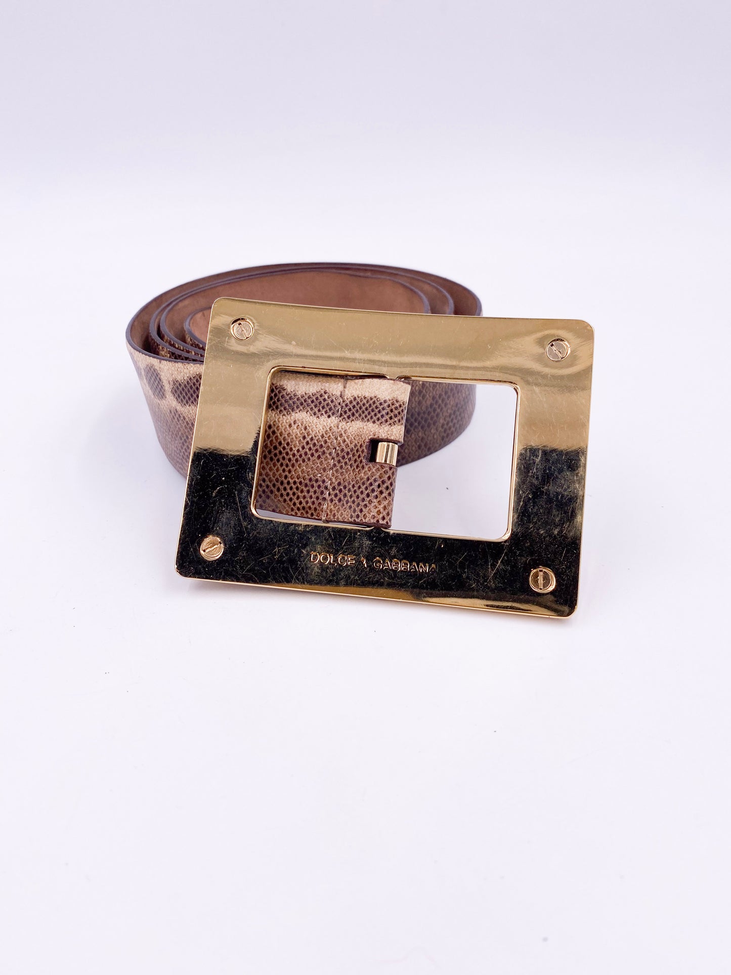 Dolce & Gabbana Snakeskin Leather Belt with Studded Rhinestone Emblem Buckle