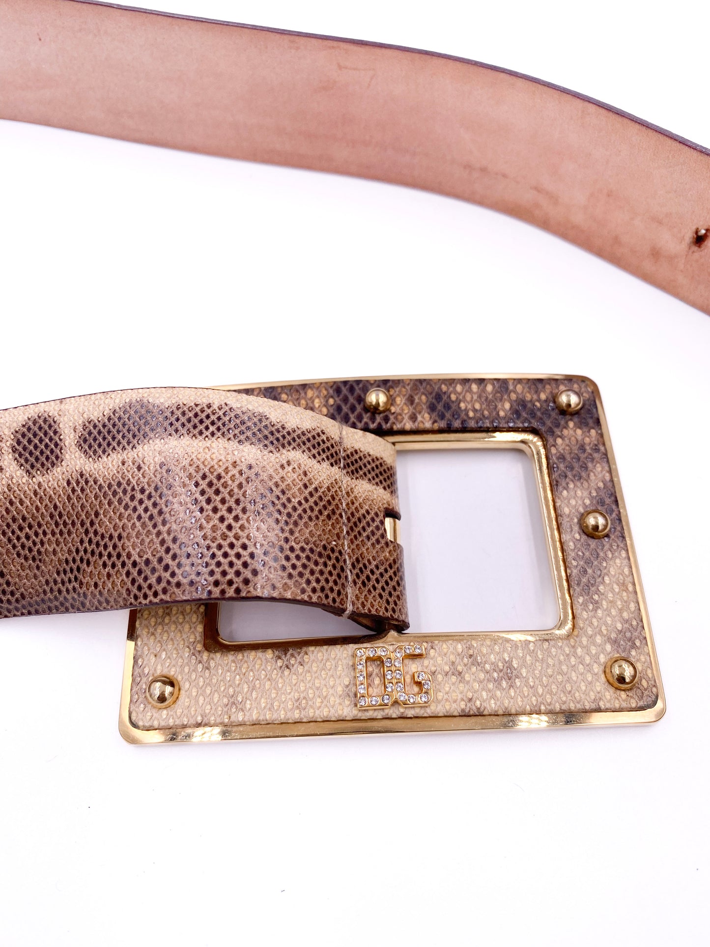 Dolce & Gabbana Snakeskin Leather Belt with Studded Rhinestone Emblem Buckle