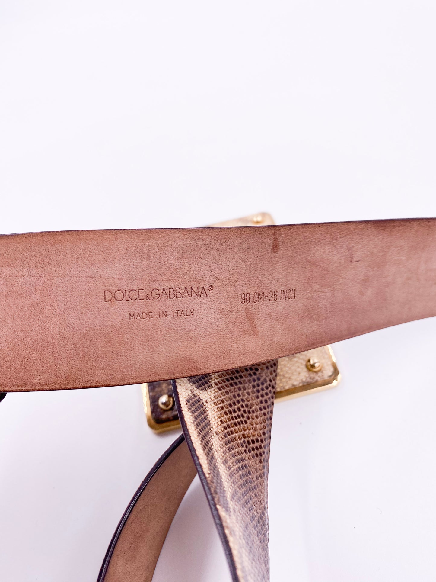 Dolce & Gabbana Snakeskin Leather Belt with Studded Rhinestone Emblem Buckle