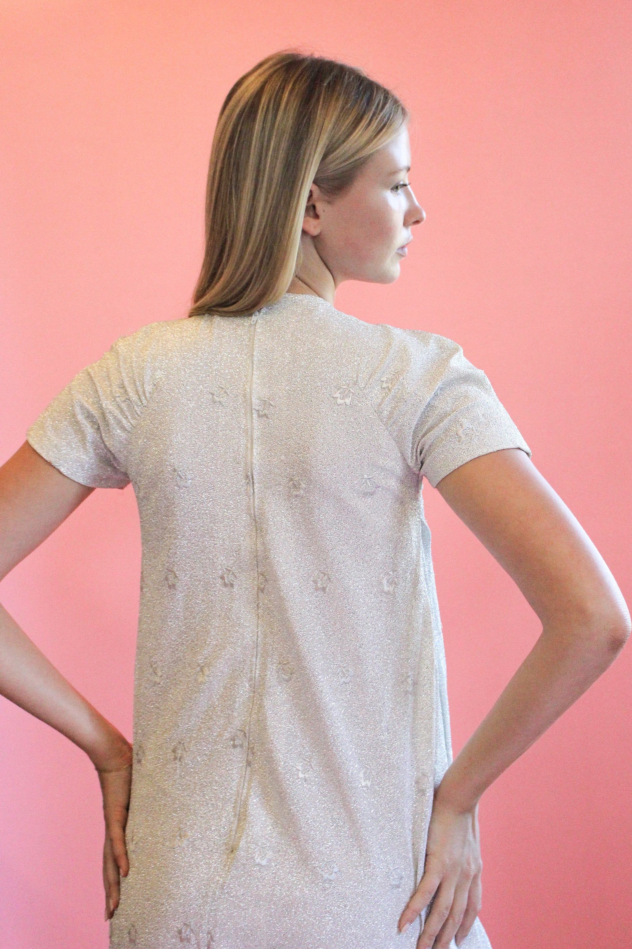 Stavropoulos Silver Lamé and Embroidered Gown