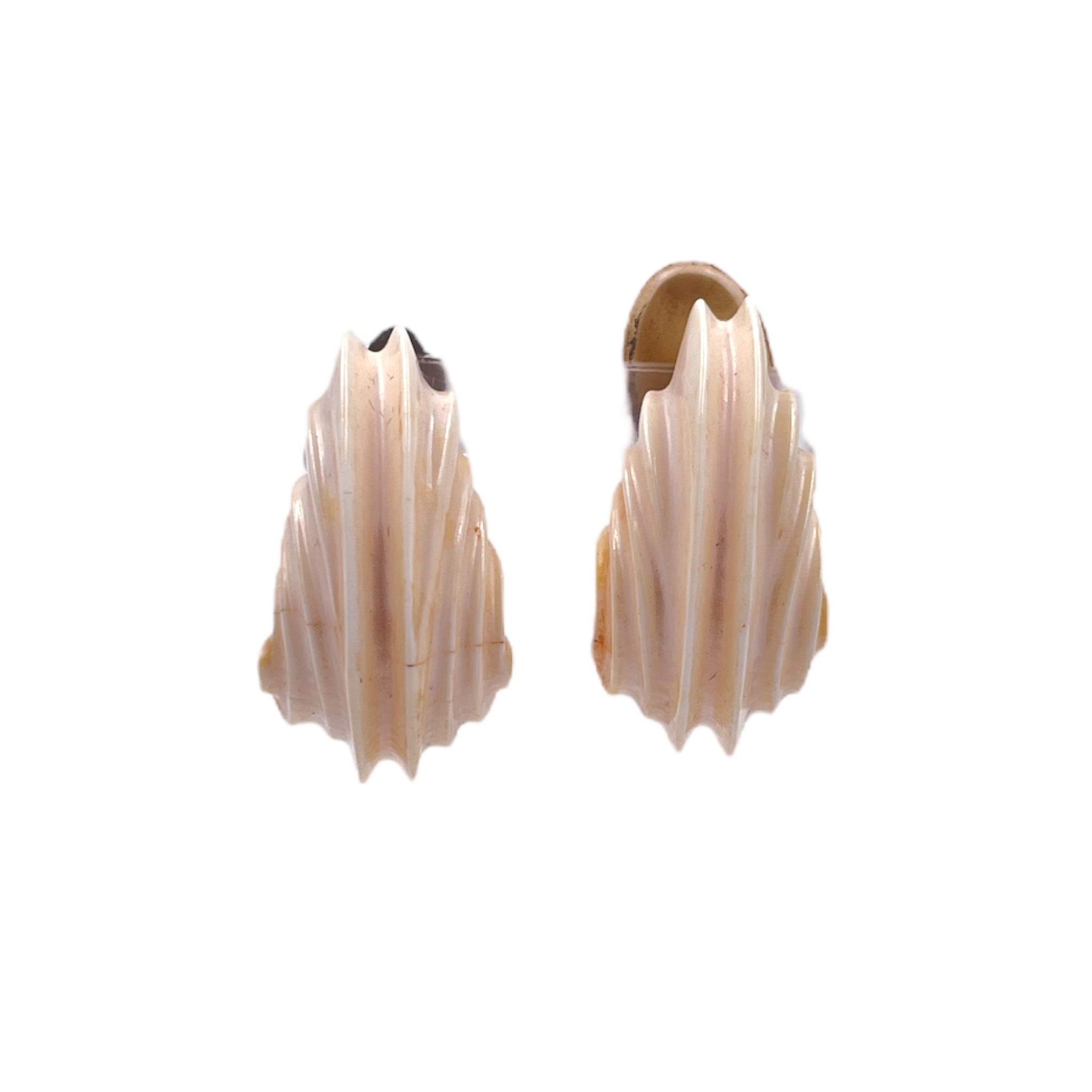 Shell Clip Earring
